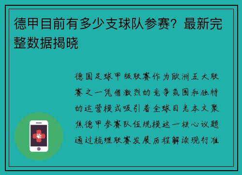 德甲目前有多少支球队参赛？最新完整数据揭晓